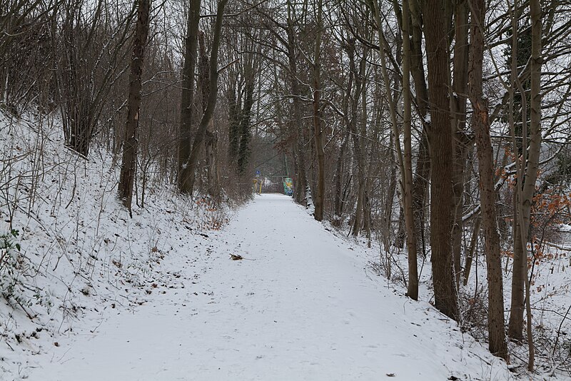 File:Causeway Templiner See with snow 2021-02-07 09.jpg