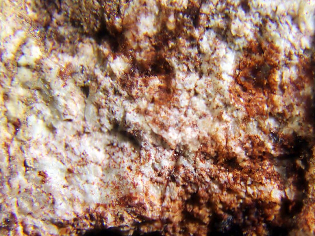 Caysichite-(Y)