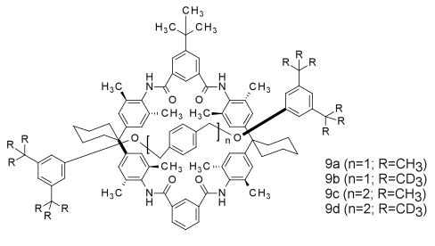 Chemicalrotaxane.svg 