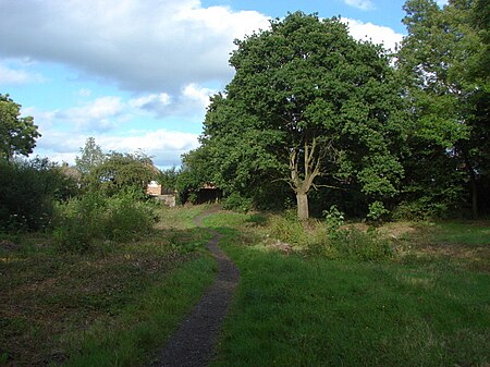 Chittys Common (geograph 2481895)