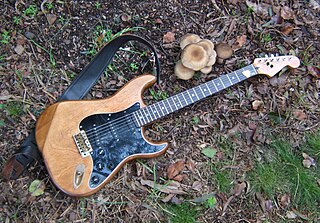 <span class="mw-page-title-main">Cimar</span> A Hoshino Gakki guitar brand.