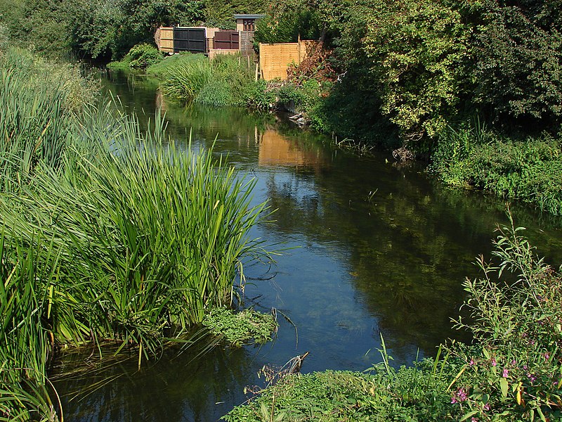 File:Colne Brook - geograph.org.uk - 3646536.jpg