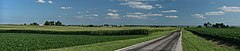 Image 47A panoramic view of corn fields near Royal in Champaign County. Photo credit: Daniel Schwen (from Portal:Illinois/Selected picture)
