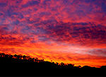 Crimson sunset02.jpg
