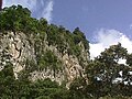 Cueva del Guacharo