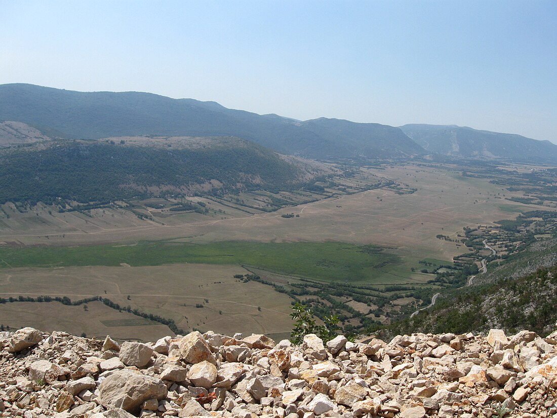 Dabarsko polje