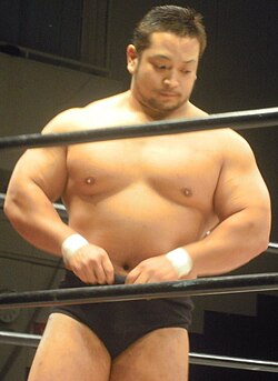 Japanese Muscle Bear