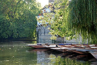 Darwin College from the river.jpg