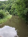 Čeština: Zahořanský potok nápověda English: Zahořany creek, Central Bohemian region, CZ help