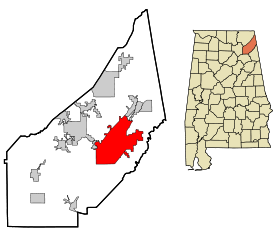 DeKalb County Alabama Incorporated and Unincorporated areas Fort Payne Highlighted.svg