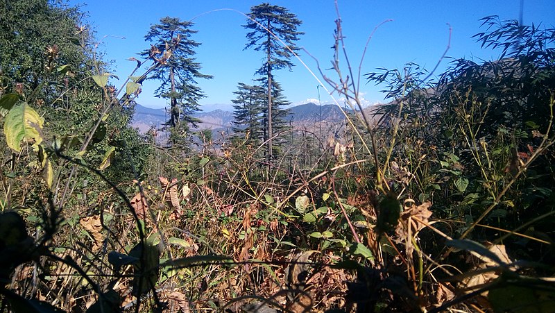 File:Dhanaulti eco park pic 15.jpg