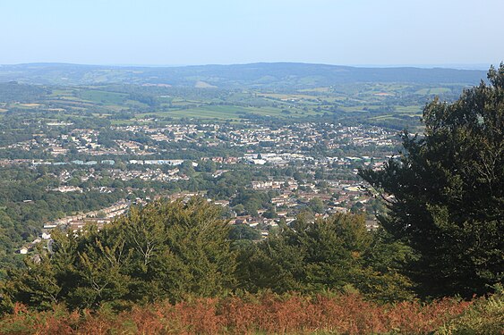 A distant view of Wentwood Forest.