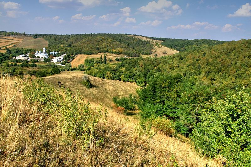 File:Dobrusa Soldanesti (2).jpg