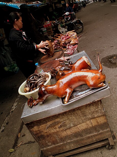 Dog meat in Hanoi, Vietnam