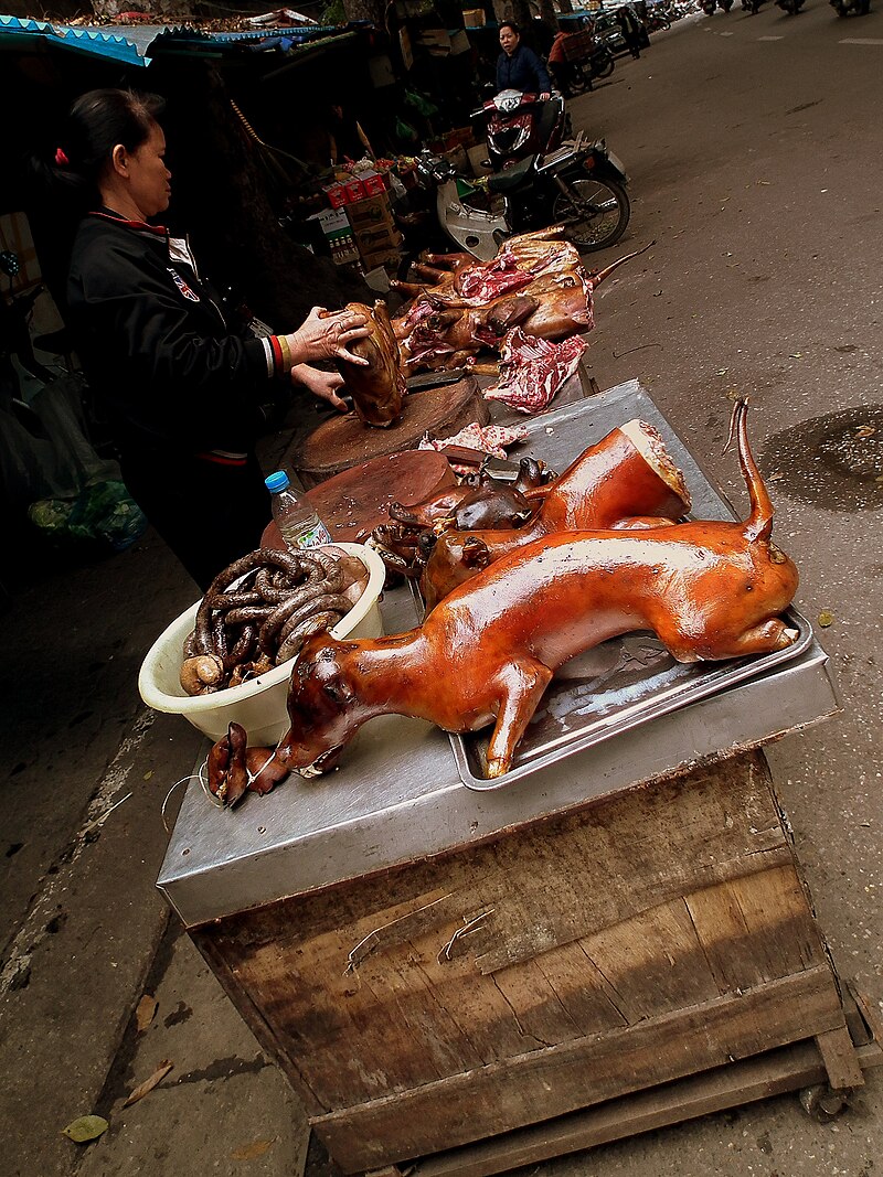 Thịt chó: Ăn thịt chó là một trải nghiệm độc đáo của nền ẩm thực Việt Nam. Nếu bạn là người thích khám phá, hãy thử một lần để trải nghiệm hương vị đặc biệt của thịt chó. Hình ảnh liên quan sẽ cho bạn cái nhìn trực quan hơn về món ăn này.