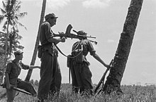 Soldiers of the 15th Infantry Regiment advancing on East-Java in 1948, the Bren-gunner adjusts his sights. Drie Nederlandse militairen tijdens een actie. De brenschutter richt zijn wapen , Bestanddeelnr 5561.jpg