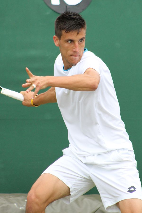 Džumhur during 2014 Wimbledon Championships