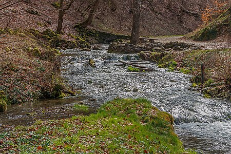 Parts of the Echaz springs Swabian Jura