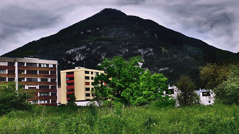 File:Eiche am Eichenweg IMST1.jpg