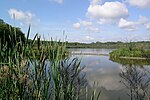 Vignette pour Lac de Virelles