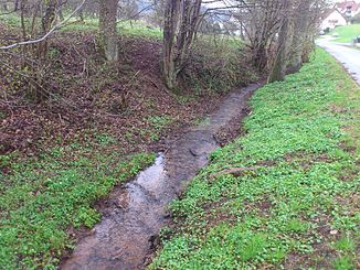 The Etzbach before Hain in the Spessart