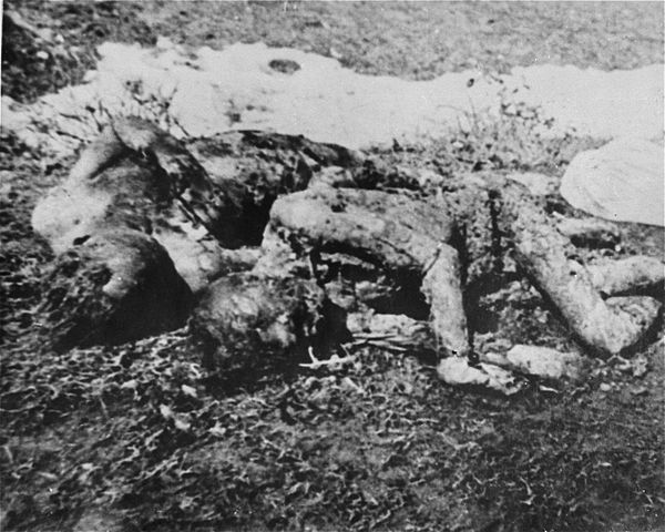 The bodies of prisoners executed by the Ustaše in Jasenovac