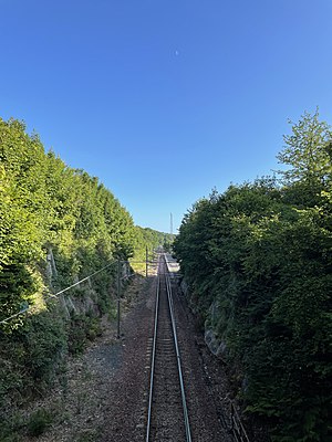 Fairlie station viewed from the South overbridge.jpg