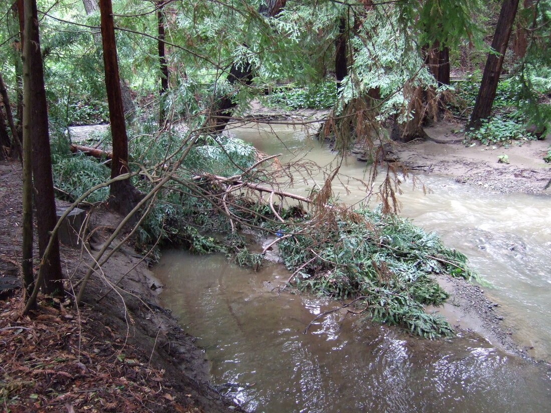 Adobe Creek (San Francisco Bay)