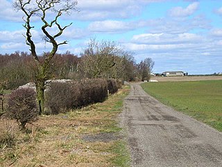 <span class="mw-page-title-main">Butterwick, County Durham</span>