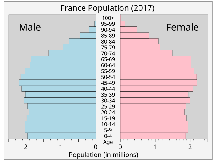 Demographics Of France Wikiwand