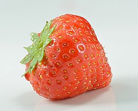 Garden strawberry (Fragaria × ananassa) single.jpg