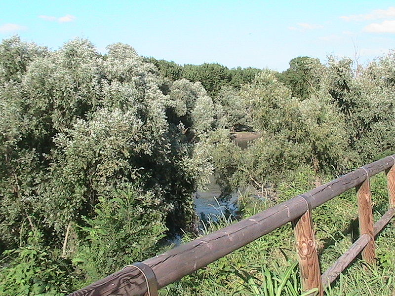 File:Gazzuolo - Argine dell'Oglio.JPG