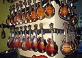 Gibson 1920s Mandolins, including 2008 F9, 1910s F2 Mandolins, and H4 Mandola - Carter Vintage Guitars (2018-07-07 02.33.20 by guano).jpg
