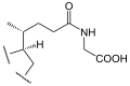 Deutsch: Struktur des Restes der Glycocholsäuren English: Structure of the residue of glycocholic acids