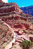 Grand Canyon National Park GRCA9858.jpg