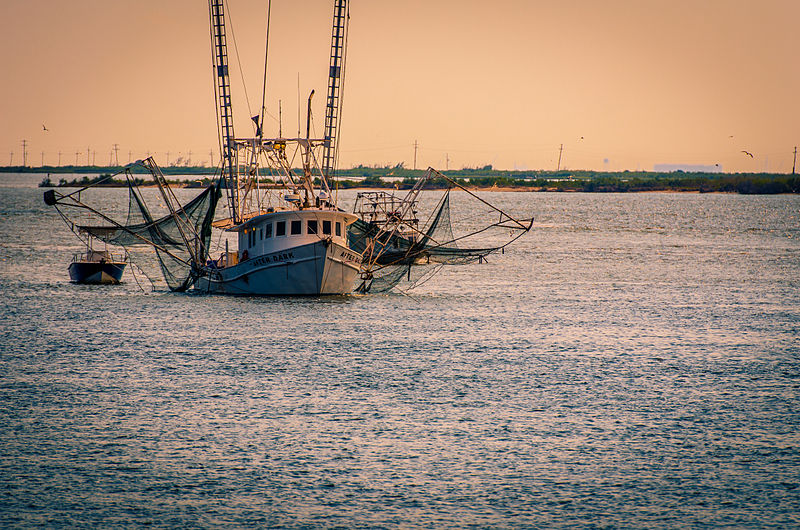 File:Grand Isle - Shrimp Stew.jpg