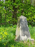 Saxon-Prussian boundary stone: Pilar No. 7 (left Elbe) and 20 runner stones