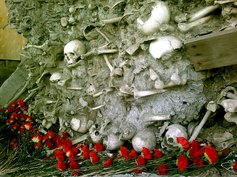 File:Guba Mass Grave bones.jpg