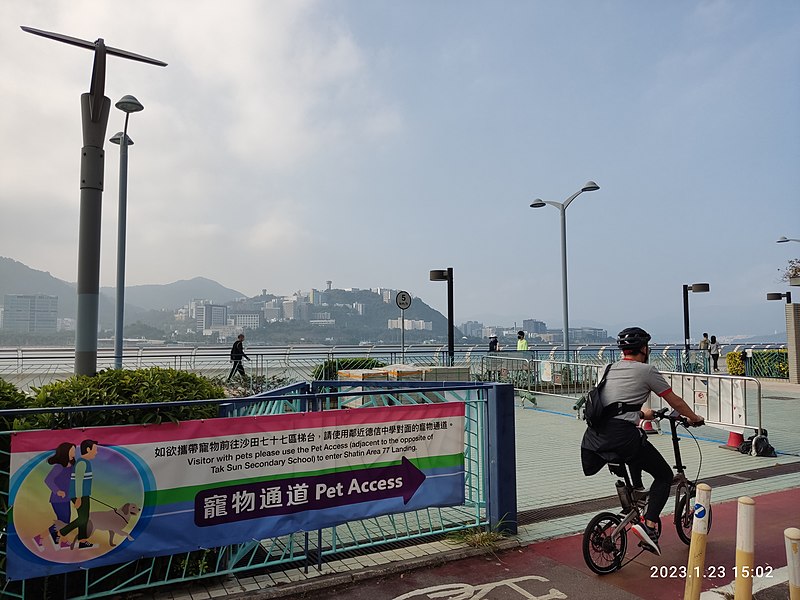 File:HK STD MOS 馬鞍山 Ma On Shan Promenade Waterfront 寧泰路 Ning Tai Road January 2023 Px3 033.jpg