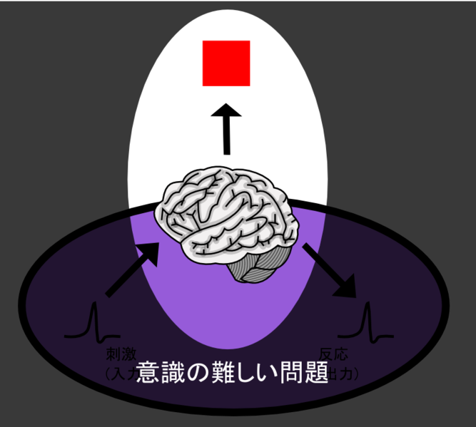 File:Hard problem of consciousness (ja).png