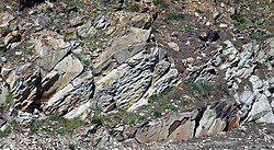 Geochronology/Paleontology - Wikiversity