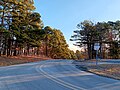 File:Highway 303 in Hobbs State Park - Conservation Area.jpg