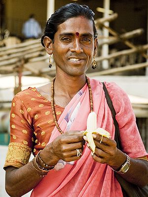 קאסטת ההיג'רה היא קבוצה בתרבות דרום אסיה של גברים שאימצו זהות מגדרית נשית.