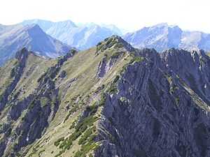 The Hintere Suwaldspitze from the east