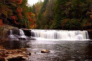 Immagine Hooker_Falls_DuPont_State_Forest_NC.jpg.