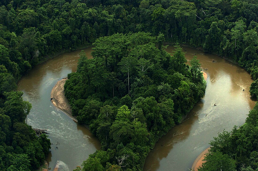 Nationalpark Teluk Cenderawasih