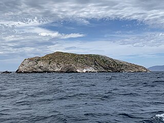 Ile des Phoques Island in Tasmania, Australia
