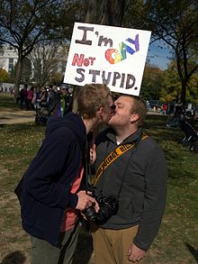 Two men at the Rally to Restore Sanity and/or Fear indicate their identity with the word gay. Im Gay Not Stupid Rally to Restore Sanity.jpg