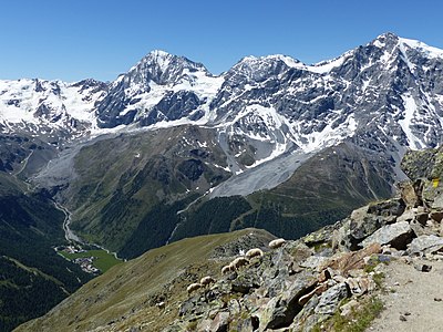 Innersulden mit Königspitze, Monte Zebrù und Ortler