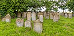 Jüdischer Friedhof Dünsbach-msu-2021-0658-.jpg